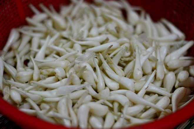 củ kiệu huế