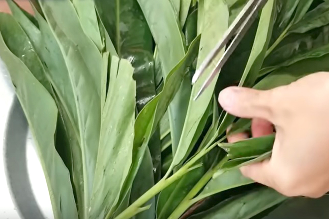 Lá giềng
