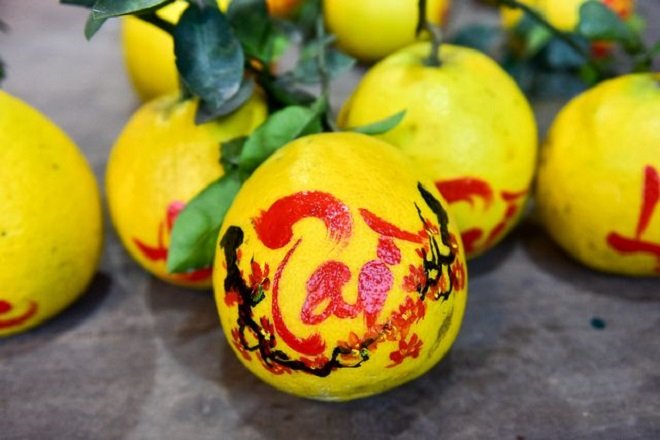 Bưởi Tết