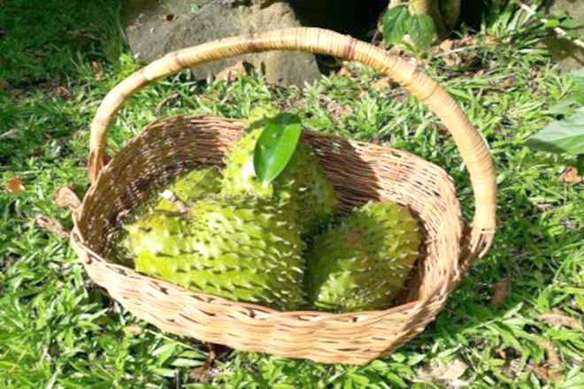 Mãng cầu xiêm