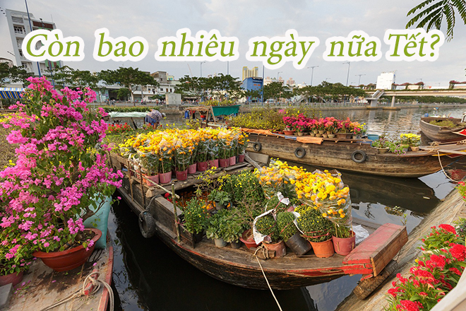 Còn bao nhiêu ngày nữa đến Tết