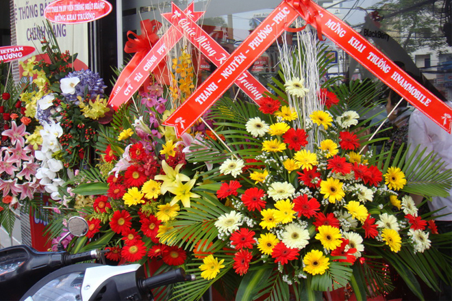 Khai trương sau Tết 2020 hoa
