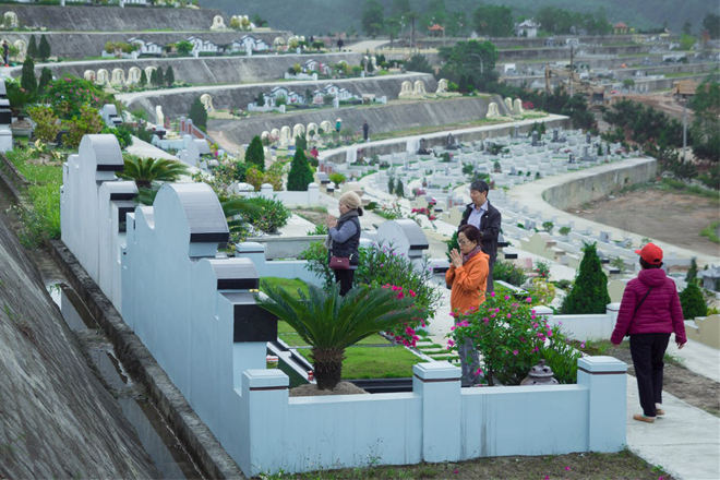 Tảo mộ là gì dưới sapo