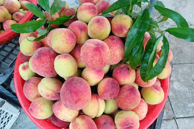 Quả đào