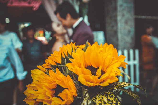 Hướng dương