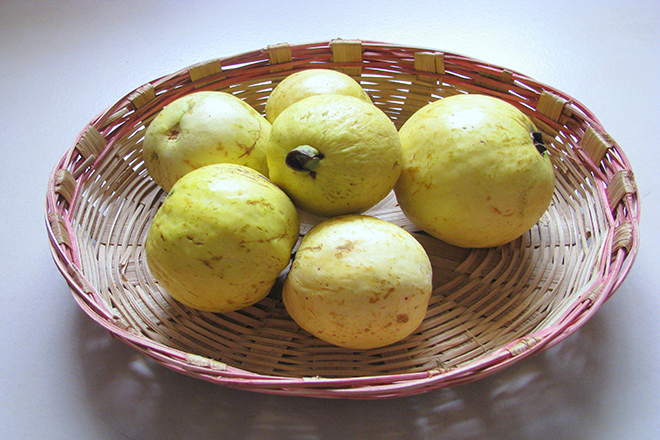 Ổi chín
