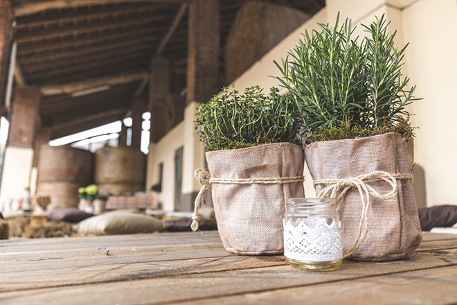 Rosemary