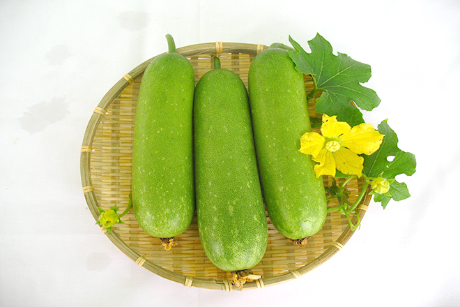 Bí xanh