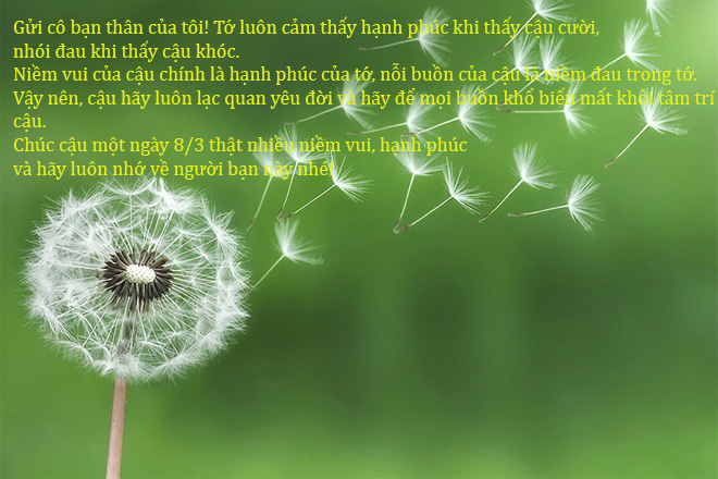 Lời chúc 8 tháng 3 cho bạn bè thân