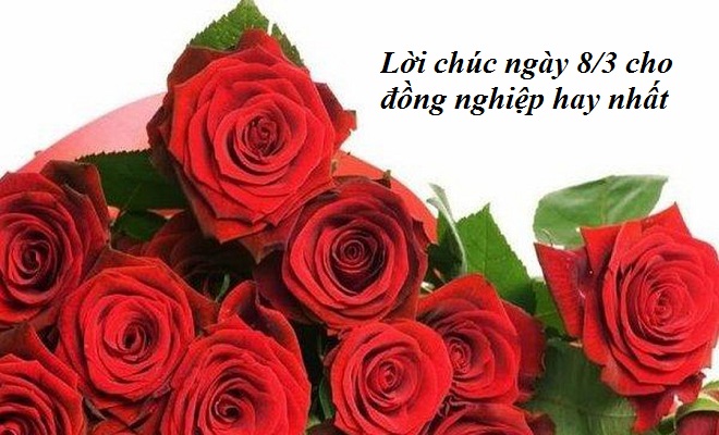 loi chuc 8 3 cho dong nghiep hay