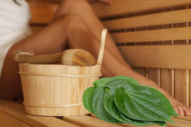 Lá trầu không chữa bệnh phụ khoa hay