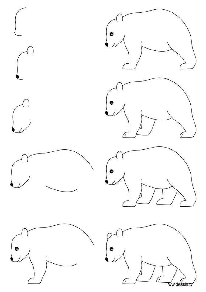 Bí Quyết Cách Vẽ Gấu Tuyết Cho Người Mới Bắt Đầu