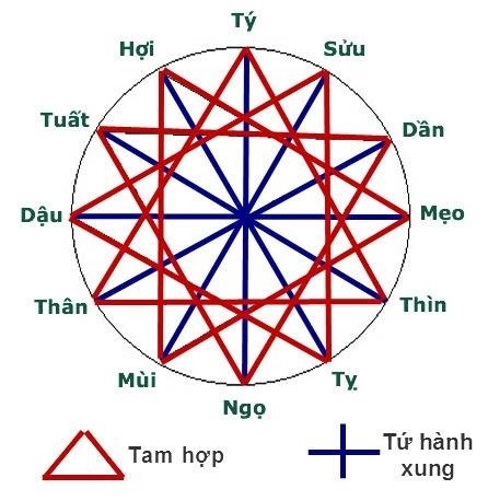 Những điều bạn chưa biết về Tam hợp và Tứ hành xung trong 12 con giáp