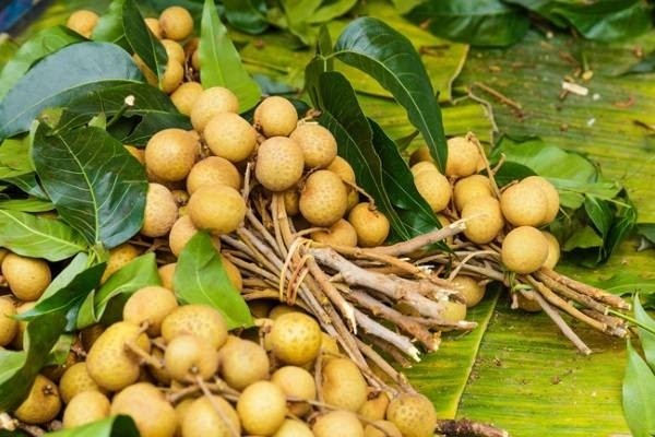 Theo bác sĩ thì bà bầu có nên ăn nhãn không?