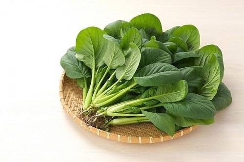 Cẩn thận với các loại thực phẩm này mẹ nhé nếu không muốn trẻ bị vàng da