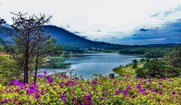 2 ho tuyen lam