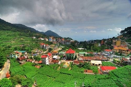 3 tam dao