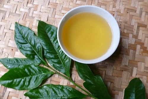 tra-xanh