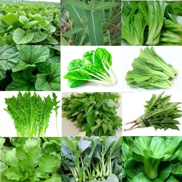 rau-xanh-giam-mo-bung-nhanh