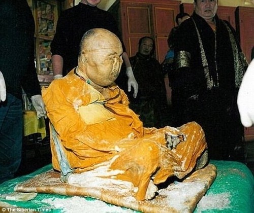 1476258556-lama03.jpg