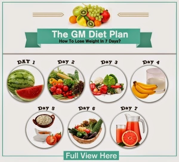 che do an giam beo general motor diet