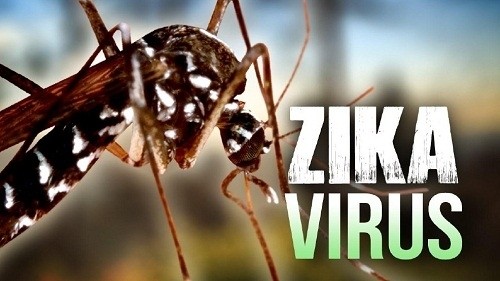 1476497521-zika.jpg