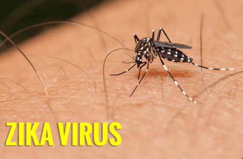 gia-tang-so-ca-mac-virus-zika-va-di-tat-dau-nho-o-viet-nam-1.jpg