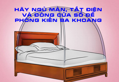 chuyen-gia-chia-se-cach-duoi-va-dieu-tri-khi-bi-kien-ba-khoang-tan-cong-kien-ba-khoang4.jpg