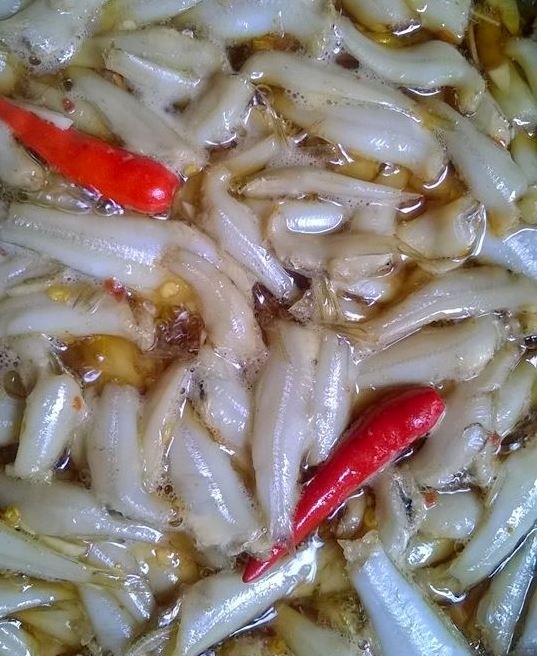 ca-com-kho-tieu-3