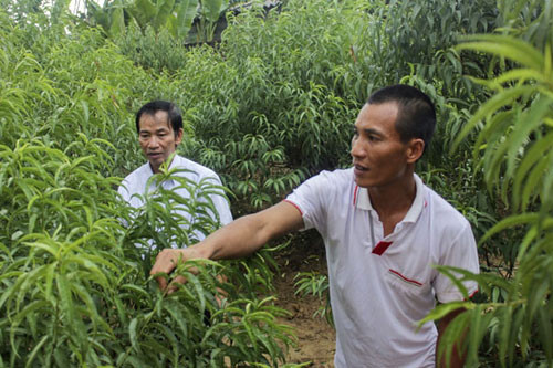 vuot qua noi dau di an co thanh gio 9 nguoi 7.jpg