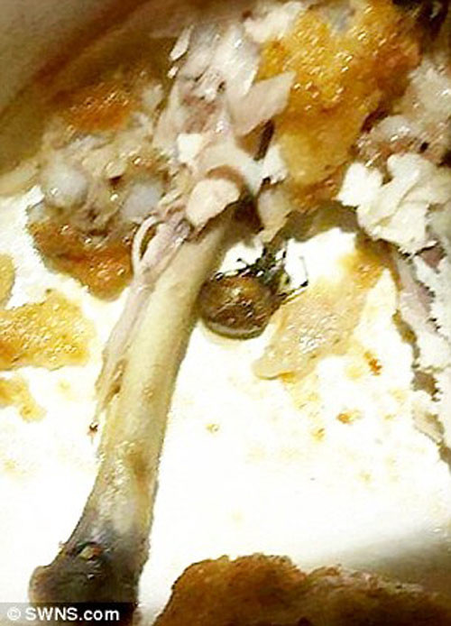 thai-phu-7-thang-bi-ngo-doc-suot-3-ngay-vi-an-mon-ga-ran-kfc-co-xac-nhen-2.jpg