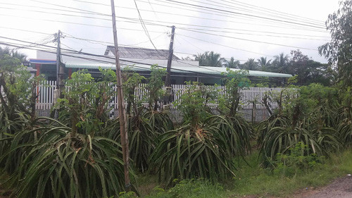 nghi van ba me con uong thuoc sau tu tu 2.jpg