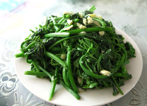 ngon-xu-xu-xao-toi