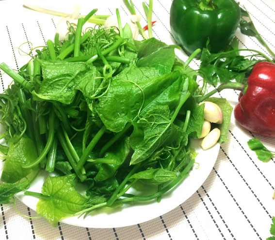 ngon-su-su-xao-toi-1