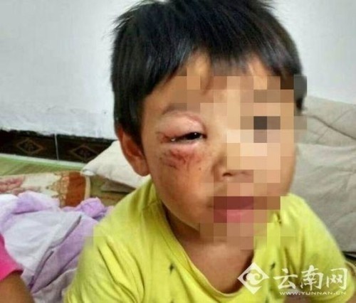 roi nuoc mat nhung vu bo de nguoc dai con tham te de dan mat vo 2.jpg