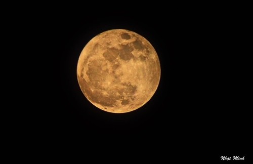 1479148512-11.jpg