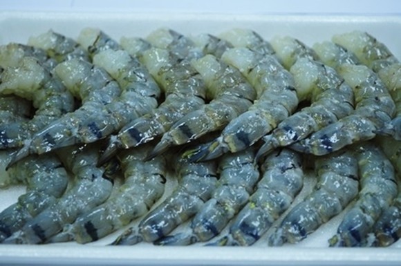 bong thien ly xao tom 2