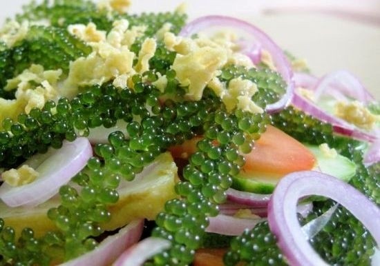 salad-rong-nho-3