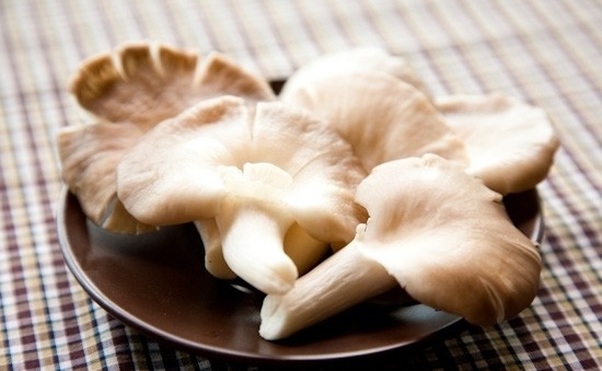 goi nam bao ngu 1