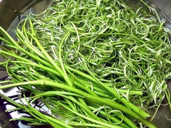 nom-rau-muong-thit-bo-1