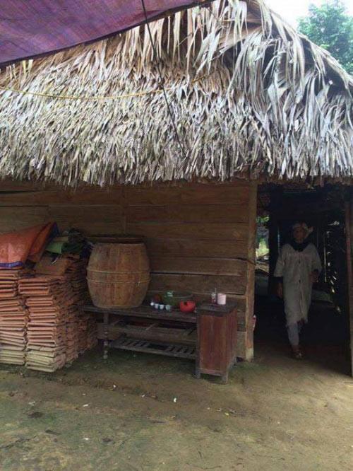 xot xa me qua doi bo di biet tich 3 con nho thanh tre mo coi 3.jpg