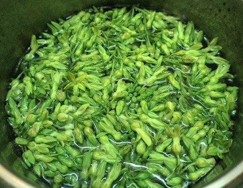 goi-hoa-thien-ly-2