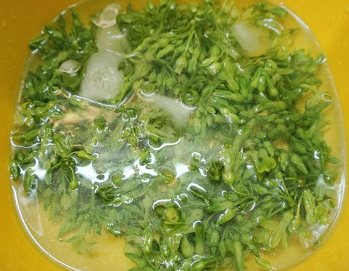 goi-hoa-thien-ly-3