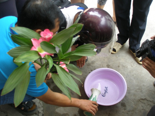 1479529923 anh3.jpg