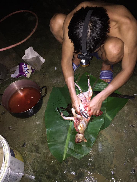 thanh nien khoe anh lam thit meo rung quy hiem tren facebook 4.jpg