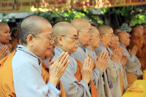 tham hoa tngt noi dau don tot cung cho nguoi o lai 4.jpg