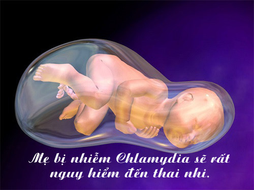 1479785016 nhiem nam.jpg