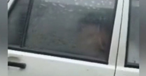 hai hoc sinh than nhien lam chuyen nguoi lon ngay tren xe cua truong drivers_ed_car_sex.jpg