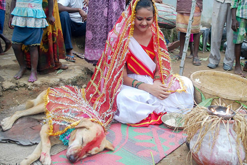 nhung-dam-cuoi-ky-la-khien-moi-nguoi-phai-giat-minh-te-ngua-khi-biet-ly-do-bride1-1409800088_660x0.jpg