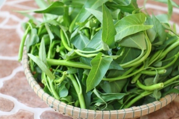 rau muong